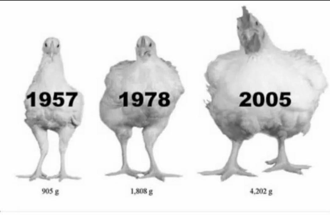 The Secret of tren steroids