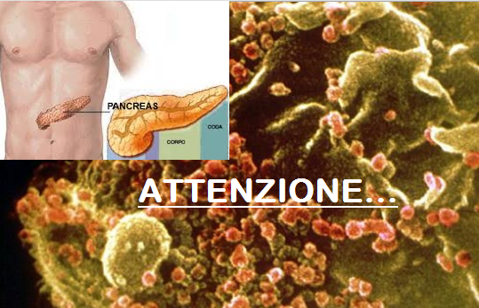 Tumore Al Pancreas Come Si Muore