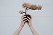 On burnout, creativity & minimalism