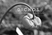 D.I.C.H.O.S.