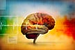 BRAINY MATTERS