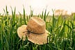 A Teacher's Hat
