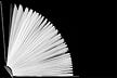 Literary Analyses