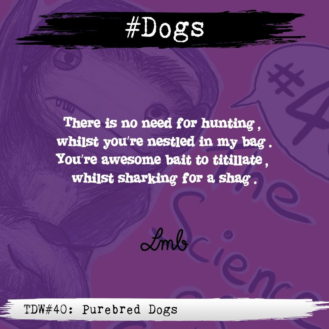 Purebred Dogs The Daily Wail Medium