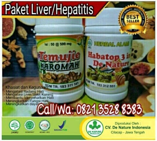 13 Cara Mengobati Penyakit Liver Secara Alami Dengan Cepat 13 Cara Mengobati Penyakit Liver Secara Alami Dengan Cepat
