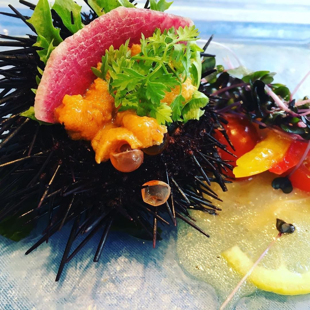 昨日の結婚式のお食事 オシャレでしたよ By Kentaro Joseph Ogawa Medium