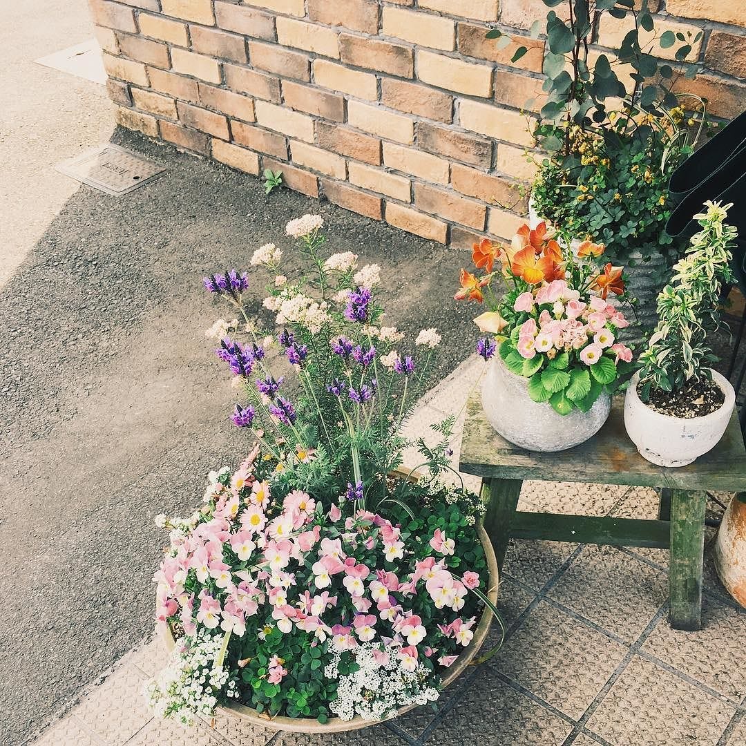 習い事を二つ始めました 寄せ植え 寄植え ガーデン ガーデニング 店の花 フラワー 花 春 春の花 玄関 By 桐野りの Medium
