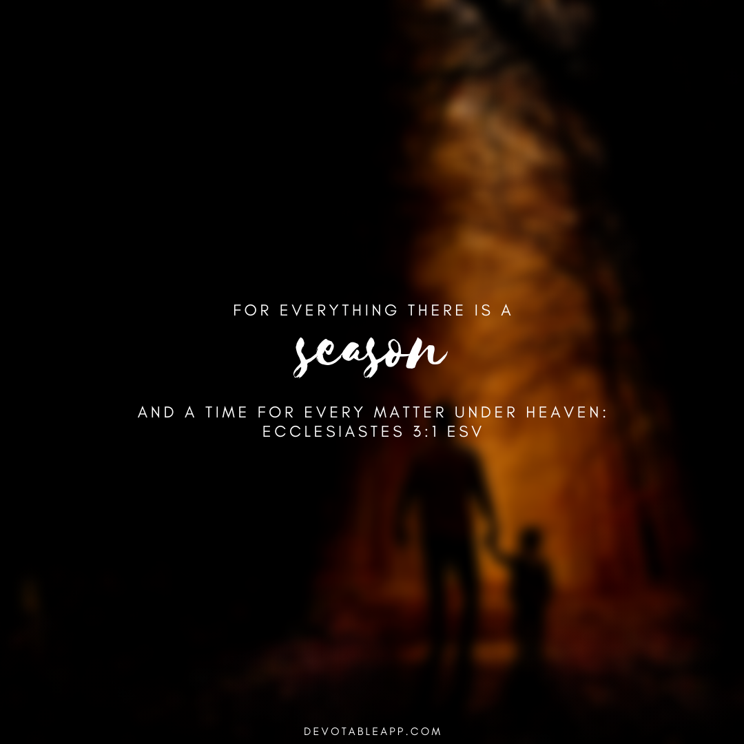 Daily Devotion Ecclesiastes 3 1 8 A Time For Everything By Devotable Medium Daily Devotion Ecclesiastes 3 1 8 A Time For Everything By Devotable Medium