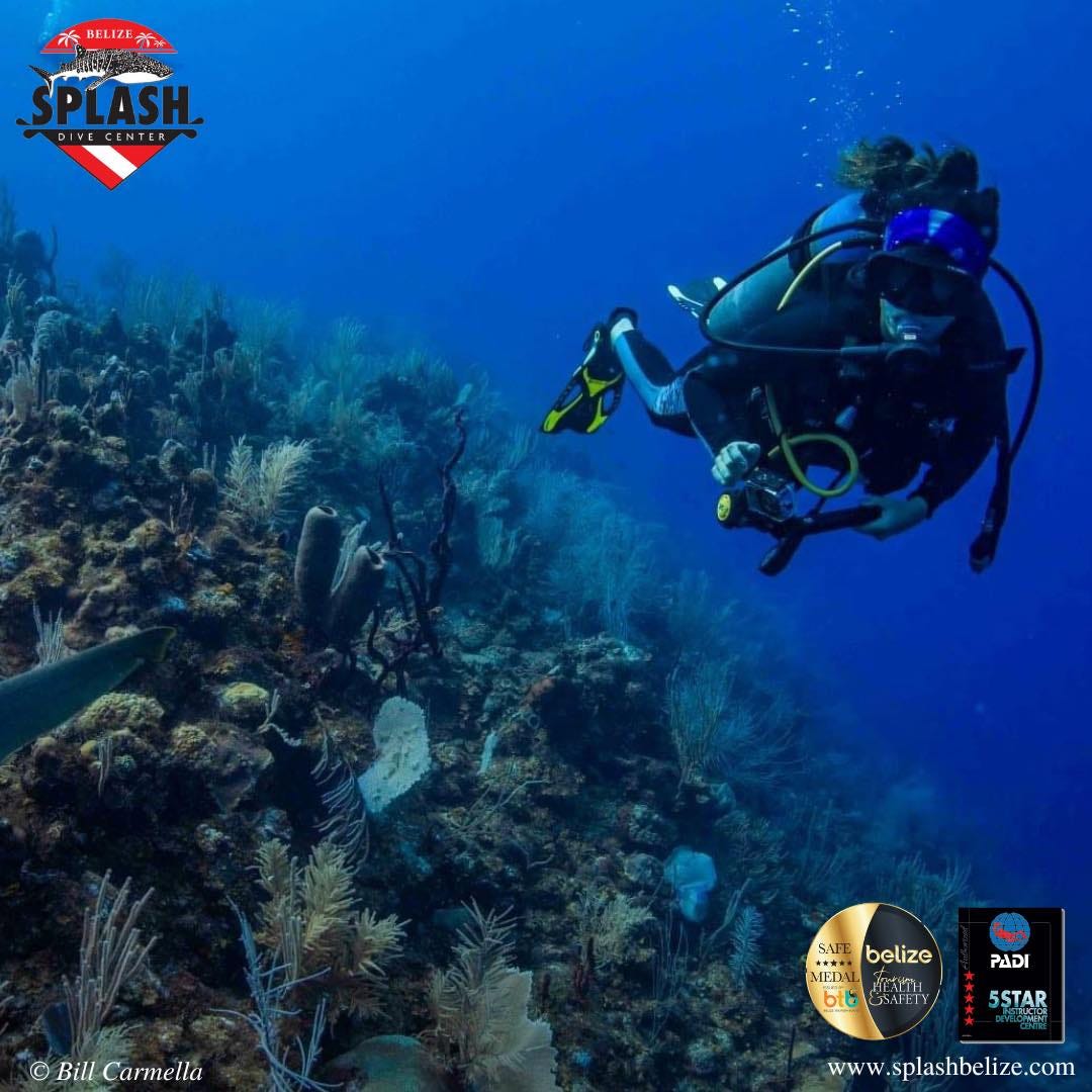 Splash Belize: The Best Diving Outlet In Belize For 2023 | by Caribbean  Culture and Lifestyle- Belize | Dec, 2022 | Medium