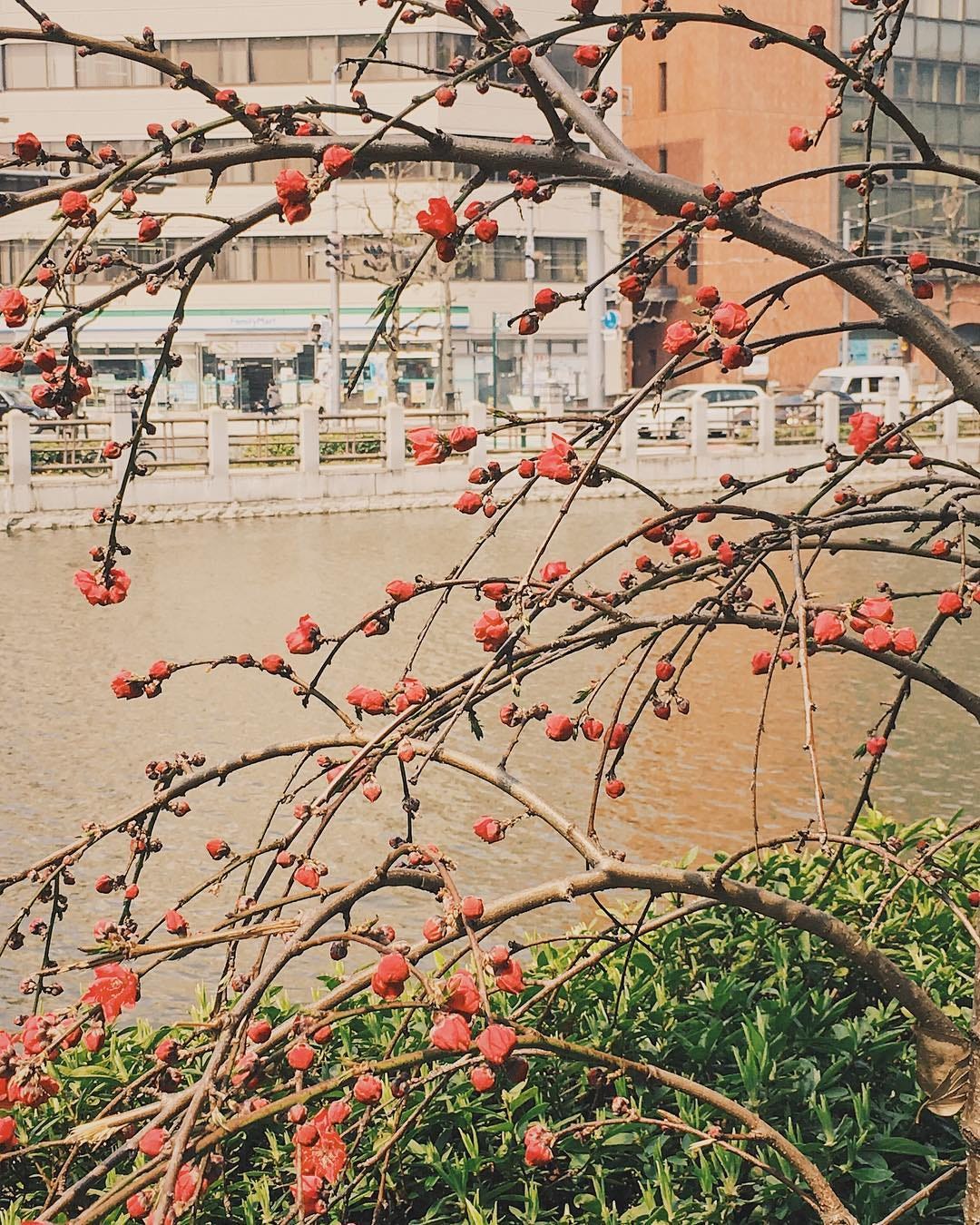 物書きにとって一番嬉しいのは新刊が出るときですよね ほんと こんな嬉しいことはないです 出させていただけることに感謝です By 桐野りの Medium