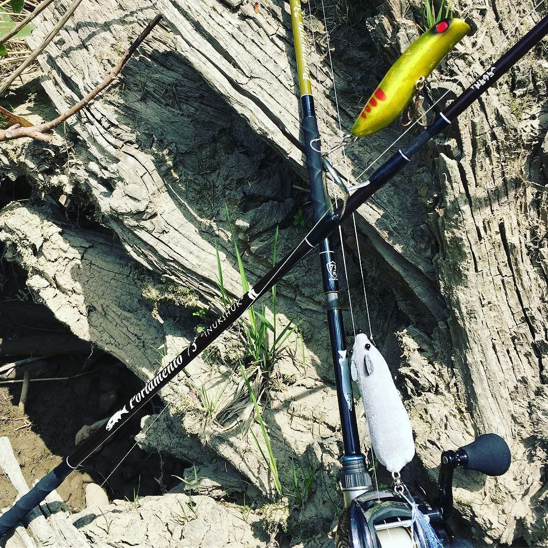 夏イトウはポルタ73の二刀流 スピナーからビッグベイトまで Huchoperryi イトウ 北海道 Fishing Tulalajp Jetsetter ネズミルアー By Kentaro Joseph Ogawa Medium