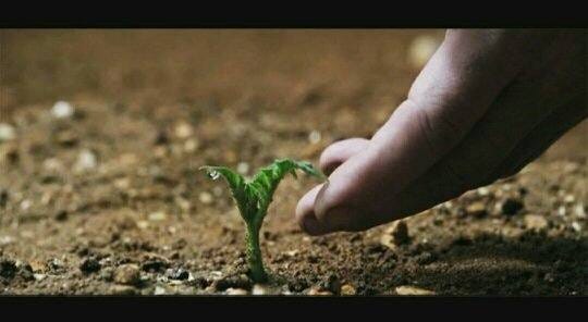 planting trees on mars
