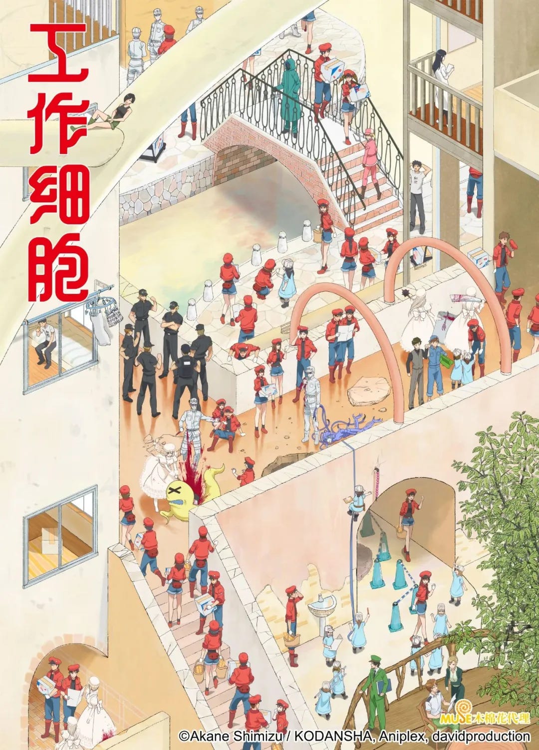 豆瓣开播9 1分 这部日漫将引进央视 Malus Medium