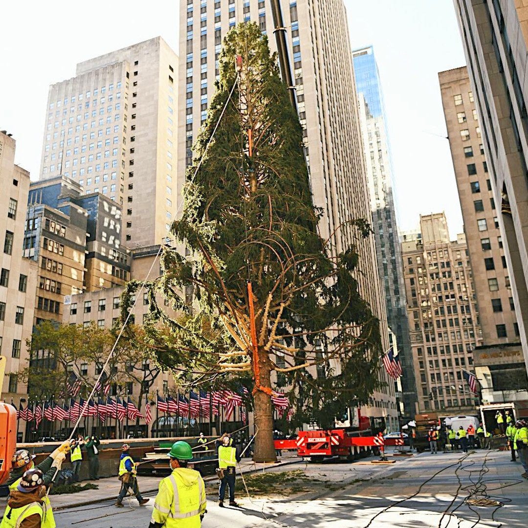 Rockefeller center tree camera