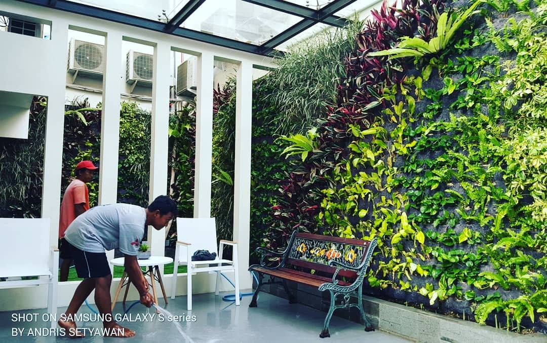 Jasa Pembuatan Taman Vertical Garden By Niscala Garden Jasa
