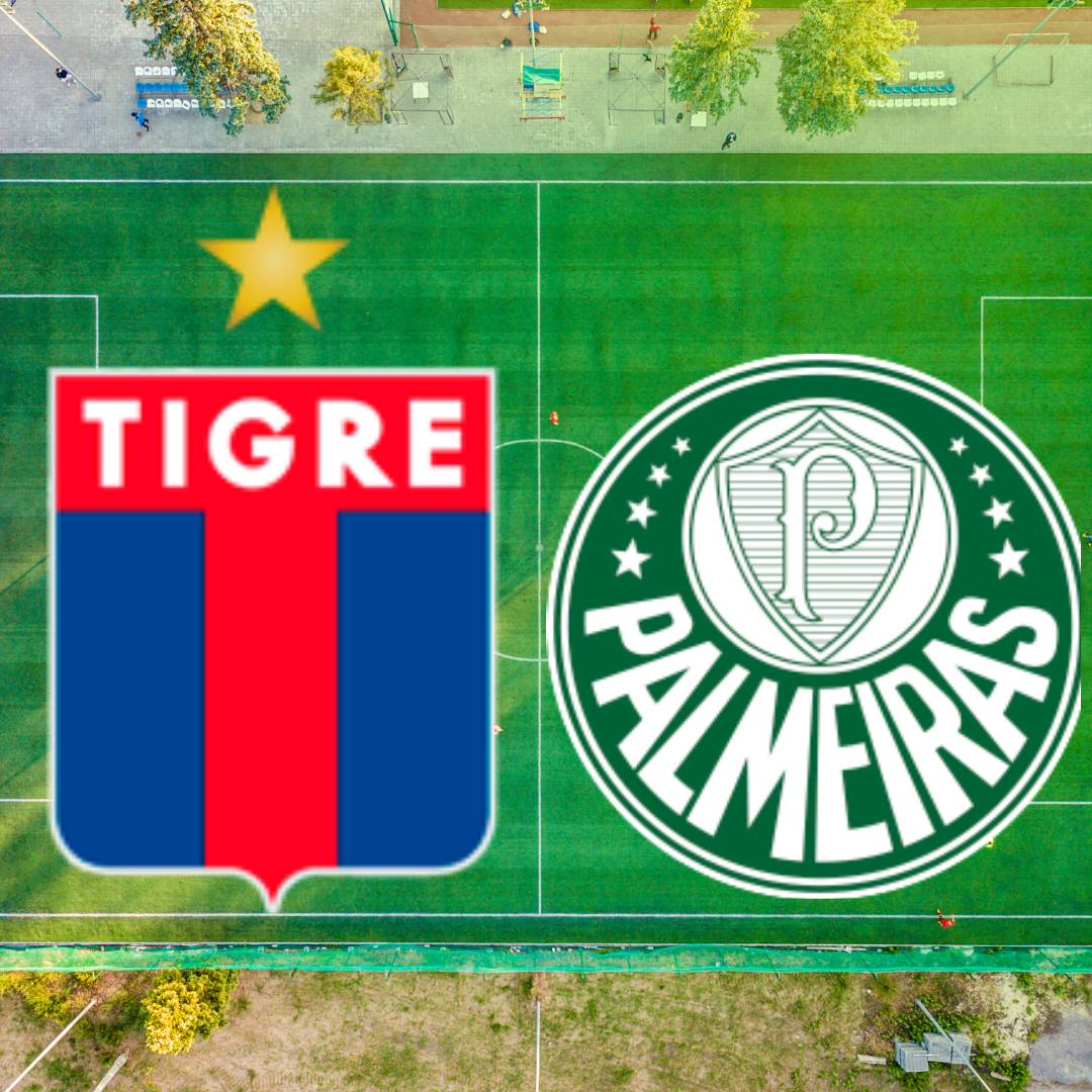 5 semelhanças entre Palmeiras, Tigre, Libertadores e ...