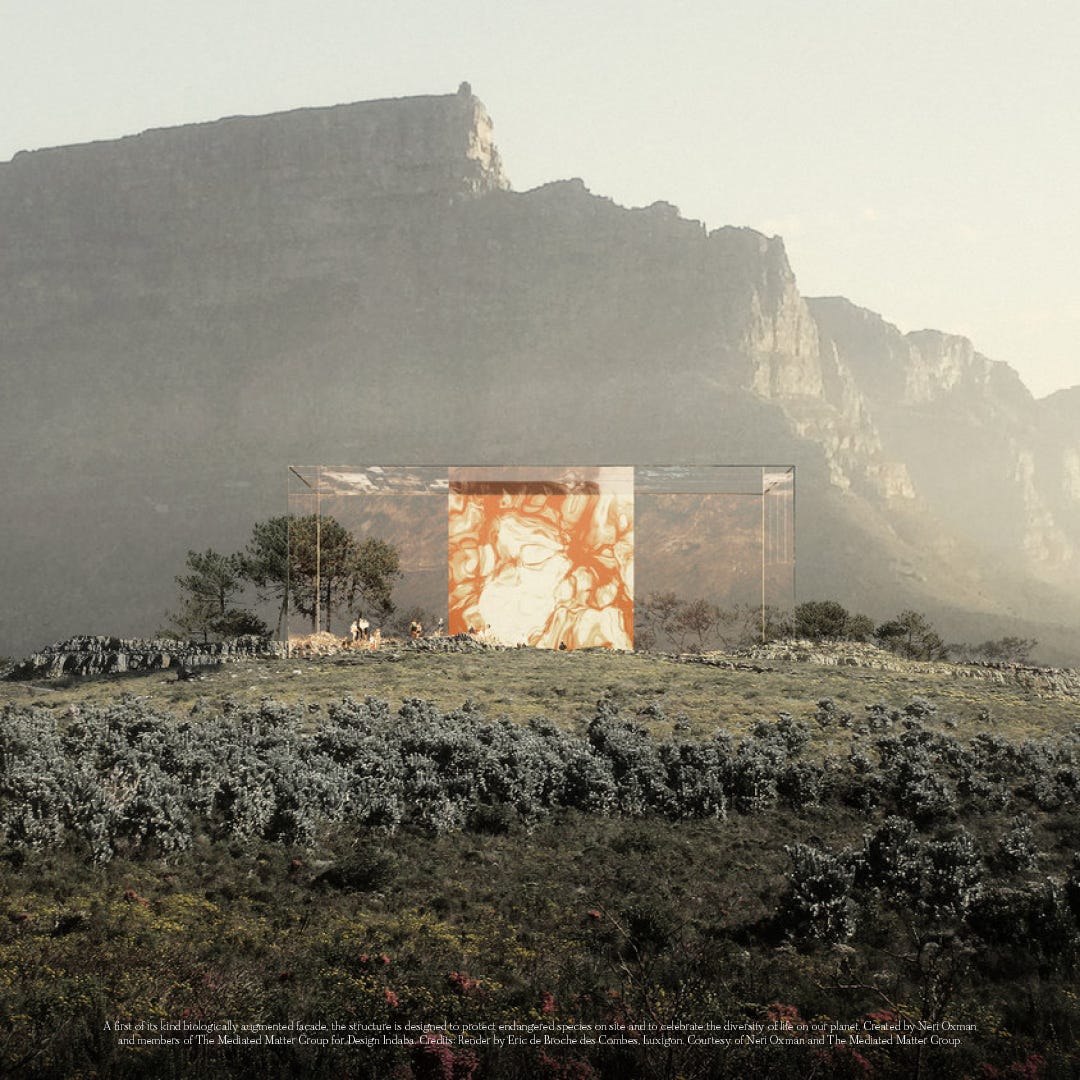 Melanin The Color and Cost of Life by Sublation (SBLTN) Medium