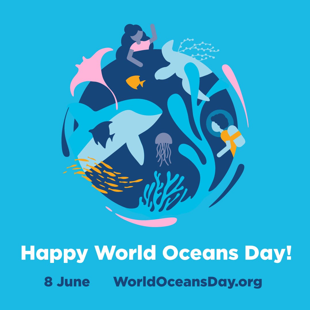 World Oceans Day Diving In The Growth Mindset By Catherine Mcwilliams Medium