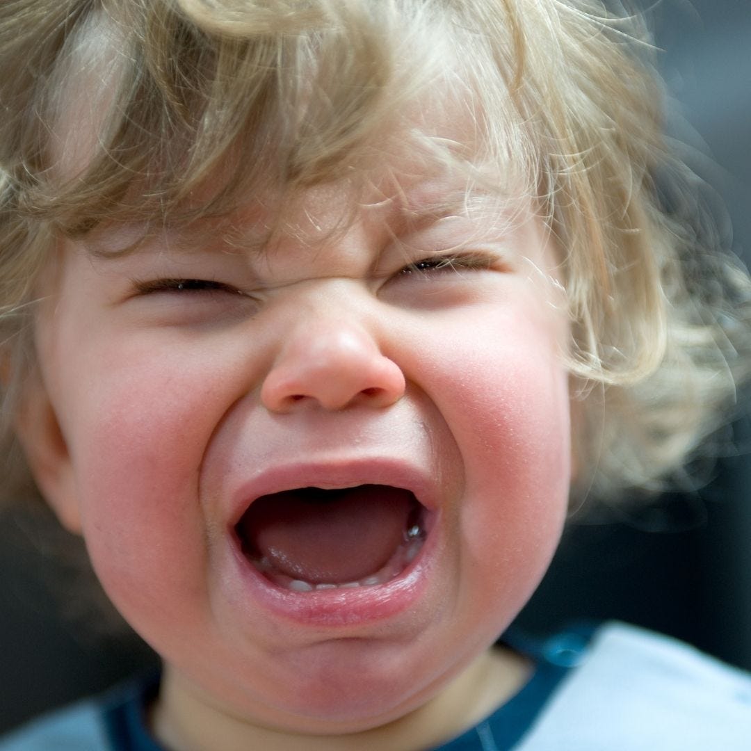 Do you ever want to throw a temper tantrum? by Brendaaflorida Medium