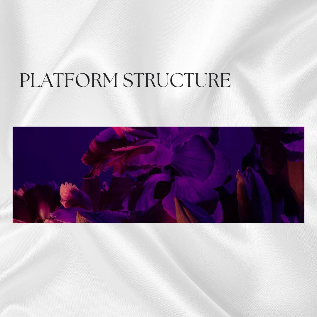  RACY PLATFORM Structure RACY Official Medium