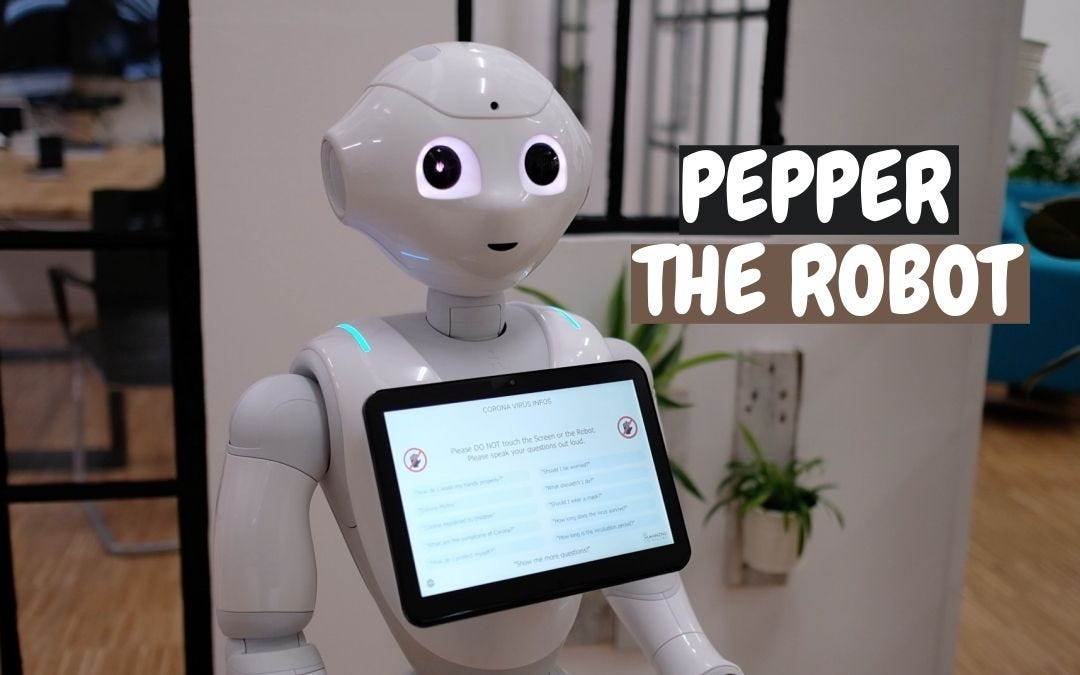 softbank pepper robot price