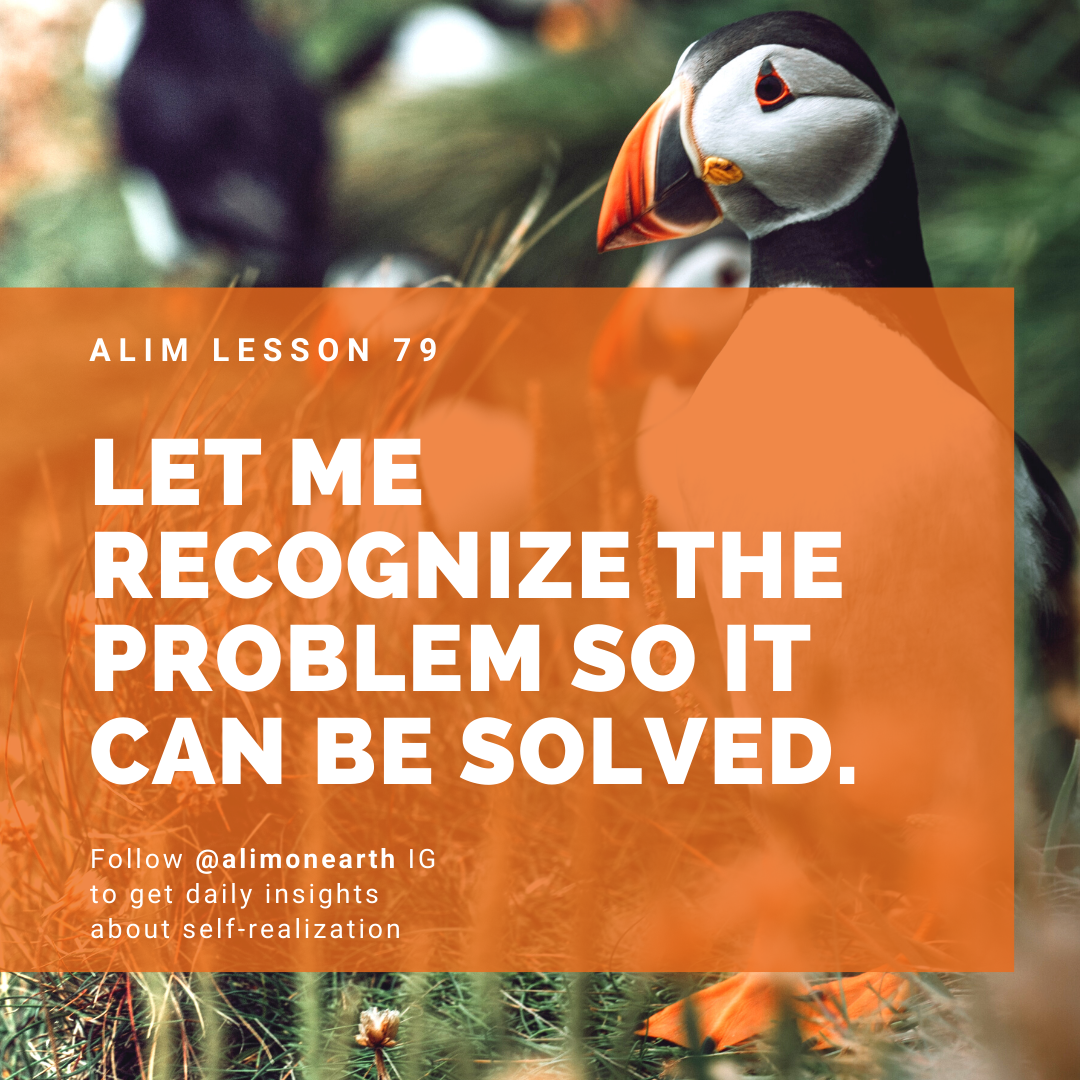 ALIM Lesson 79 Let Me Recognize The Problem So It Can By ALIM A 