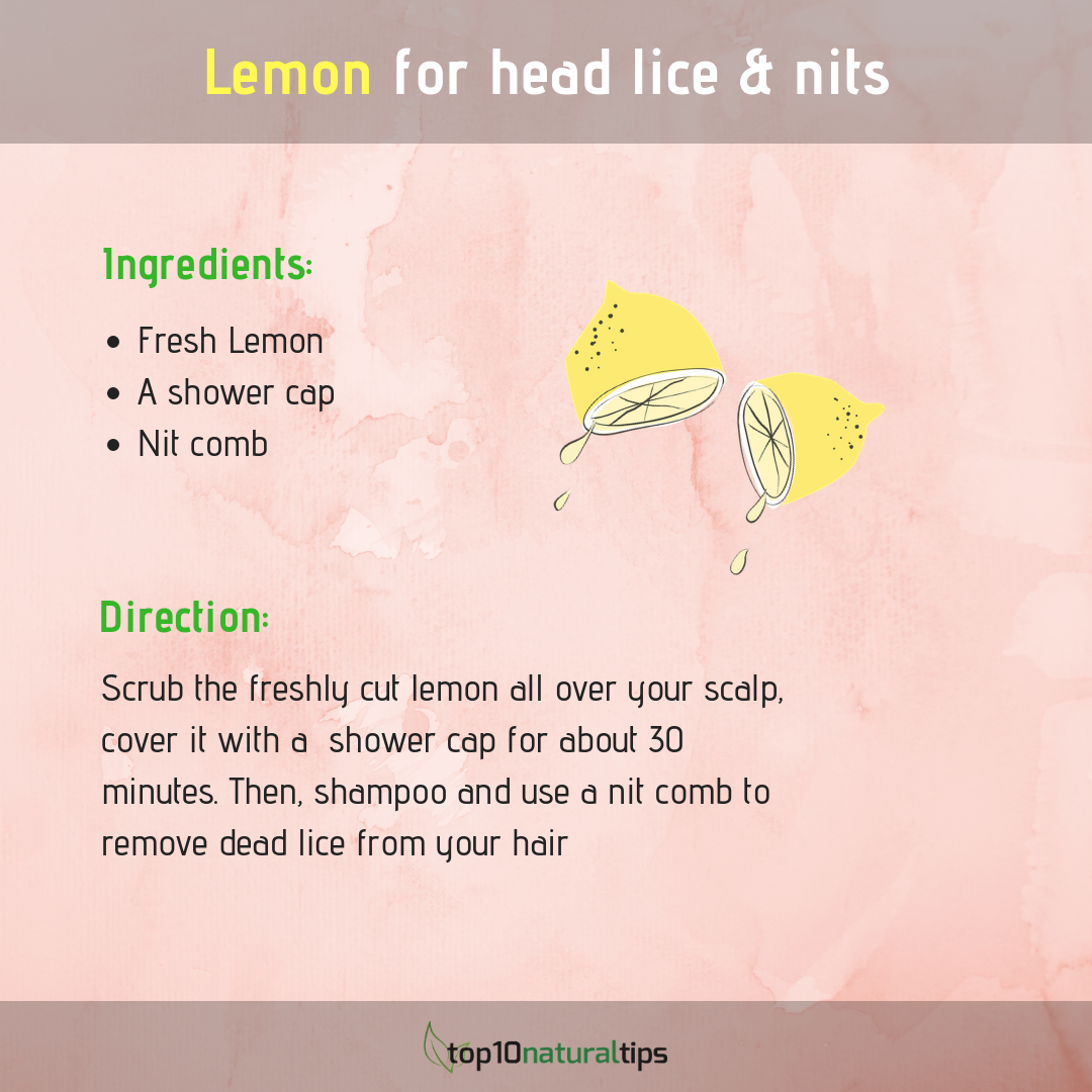 Get Rid Of Head Lice And Nits With Lemon Juice In 1 Day