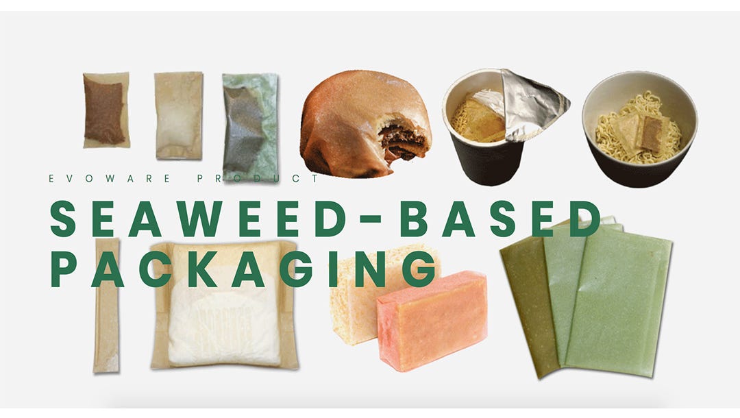 Indonesian ecosocial startup uses edible seaweeds to replace plastic