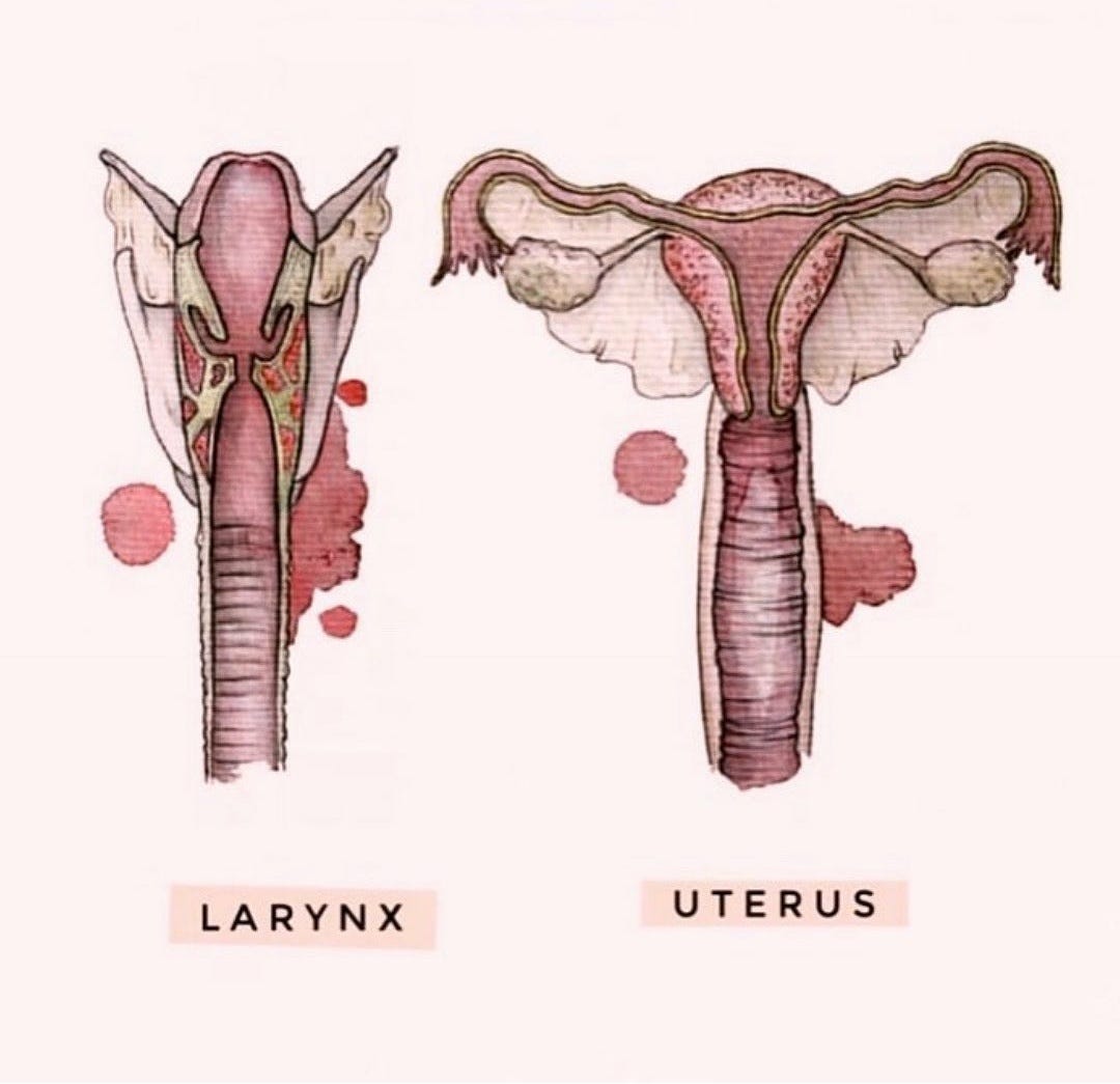 Yoni Voice Connection The Larynx Uterus By Sheetal R Ahuja Medium