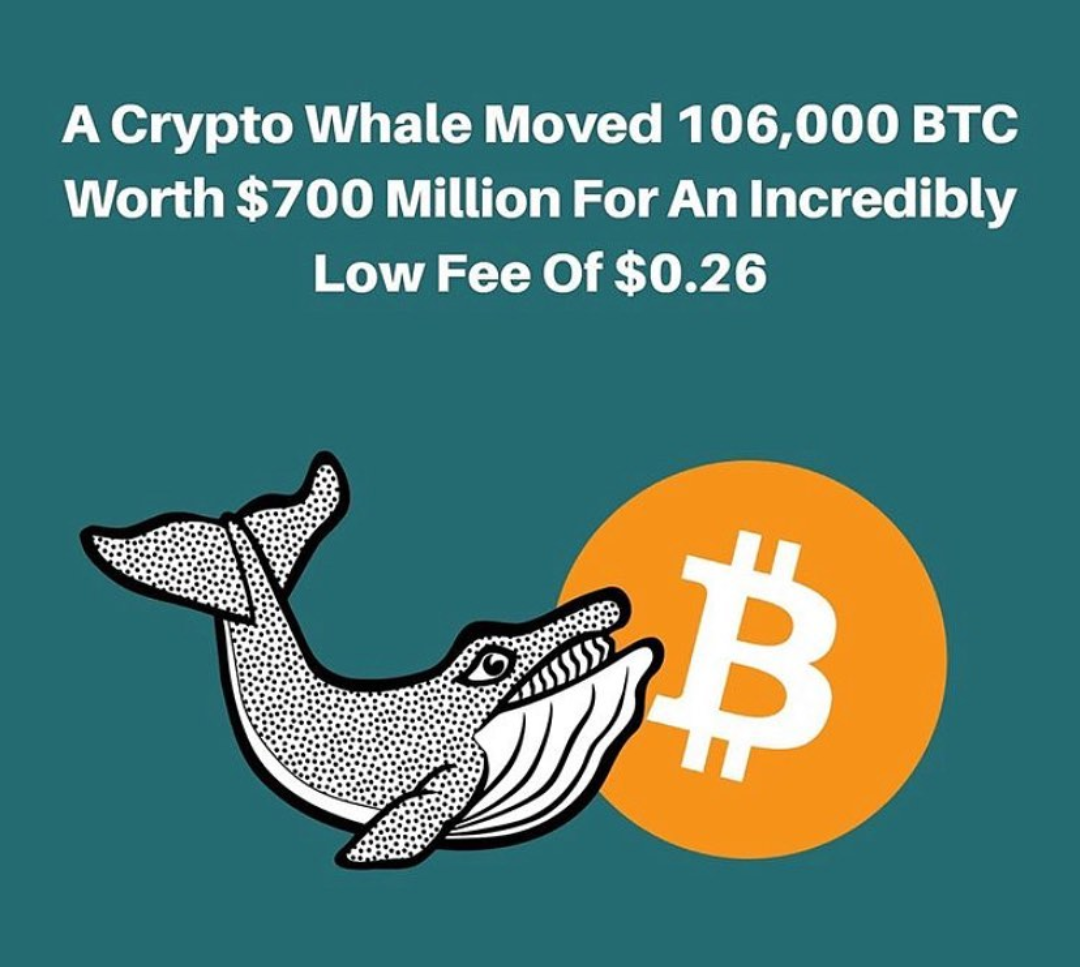 What exactly is Bitcoin? Or is it bitcoin? by coinoptix Medium