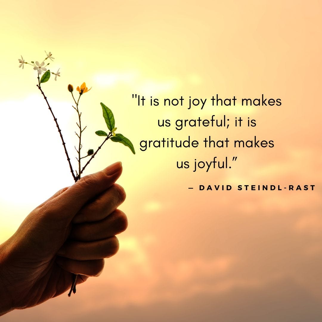 Of Gratitude and New Year. This Week In Gratitude by Vinitha Dileep