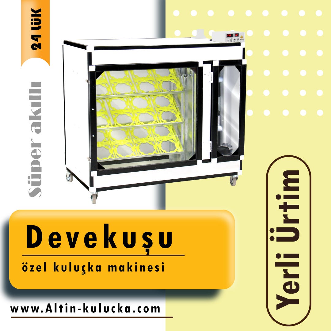 Devekusu Kulucka Makinesi 16 Lik Deve Kusu Altin Kulucka Makinesi By Altinkulucka Medium