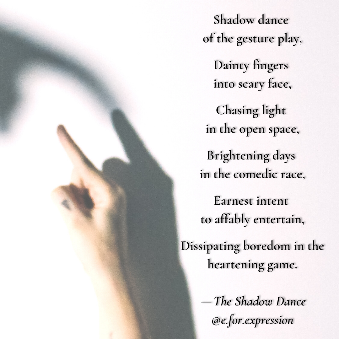Poetry The Shadow Dance Story in Poetry Medium