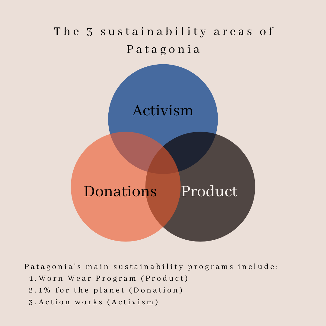 patagonia sustainability case study