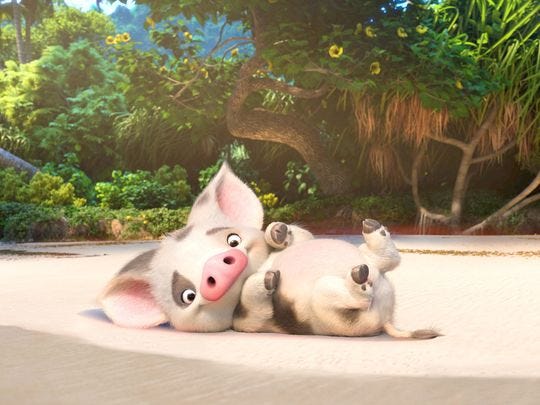 Why The Pig In Moana Stayed Behind 9 Conspiracy Theories By Daniel L Cinenation Medium