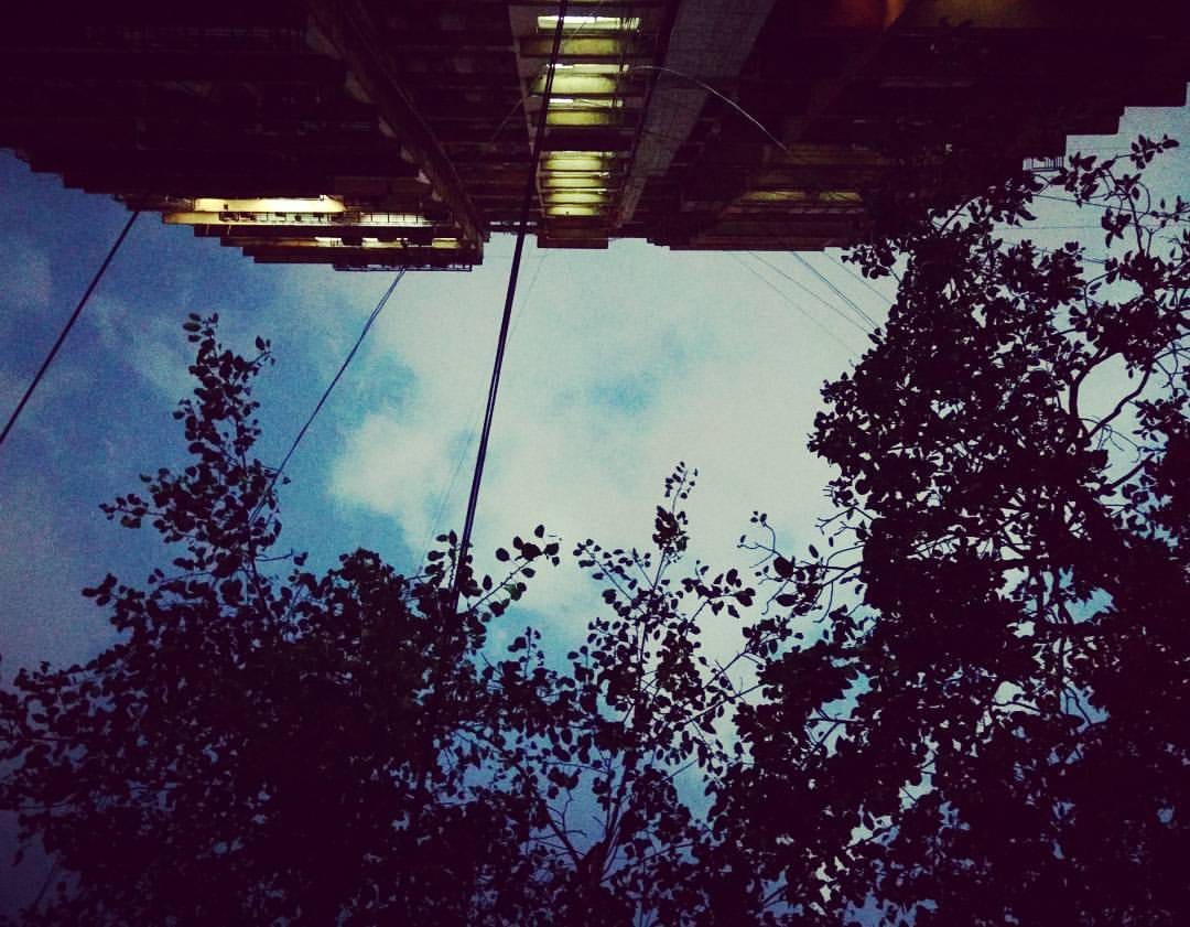 Movie Review Before The Flood I Have Been Wanting To Write This For A By Connectfor Medium