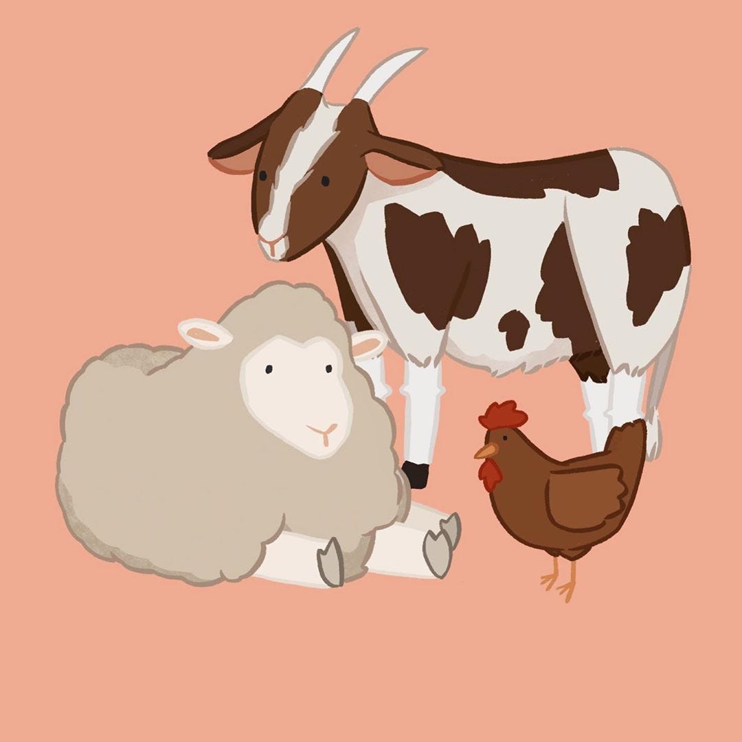 How we present the message for non-human Animal Rights matters | by