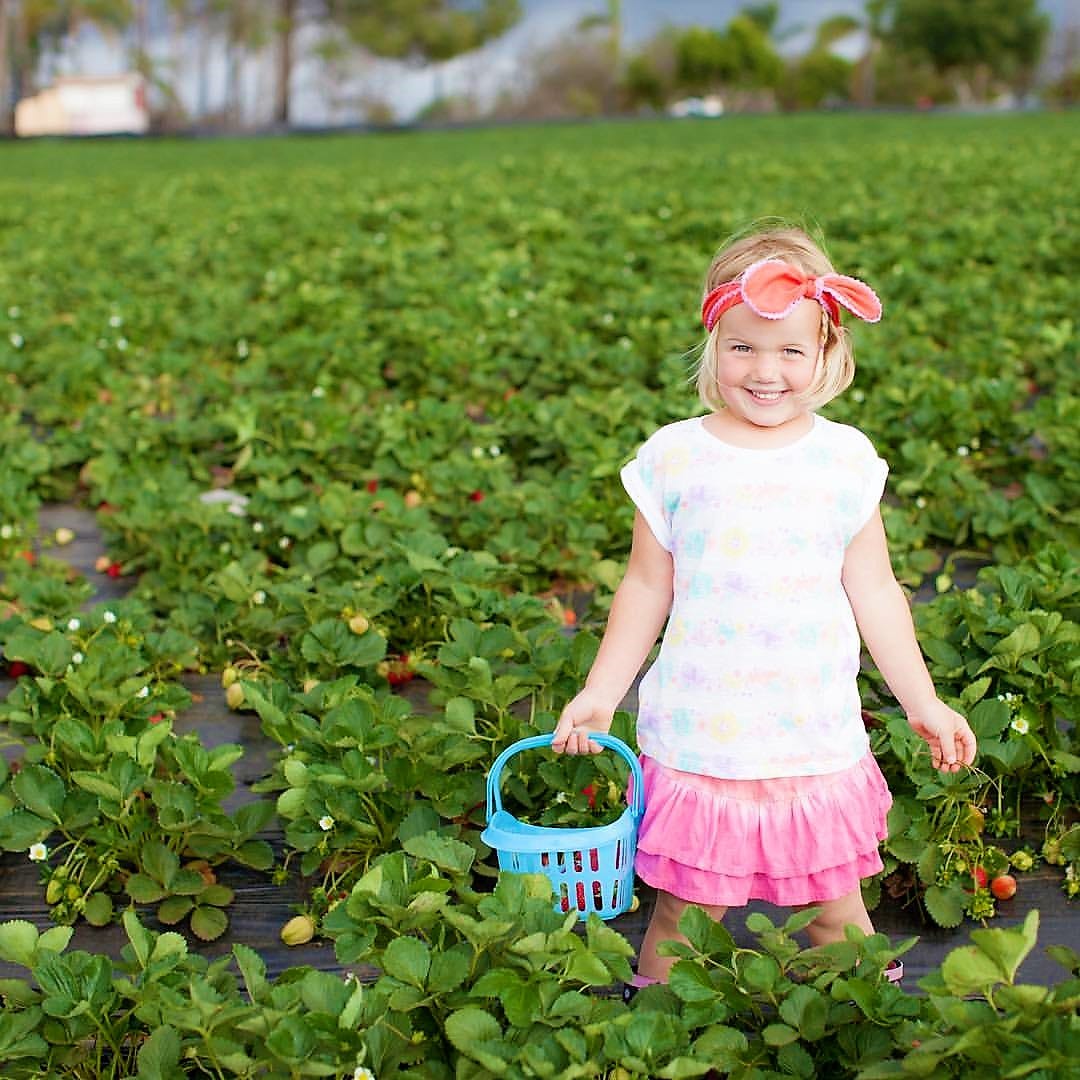 Enjoy Family Fun Picking Berries and Other Produce This Summer and Fall