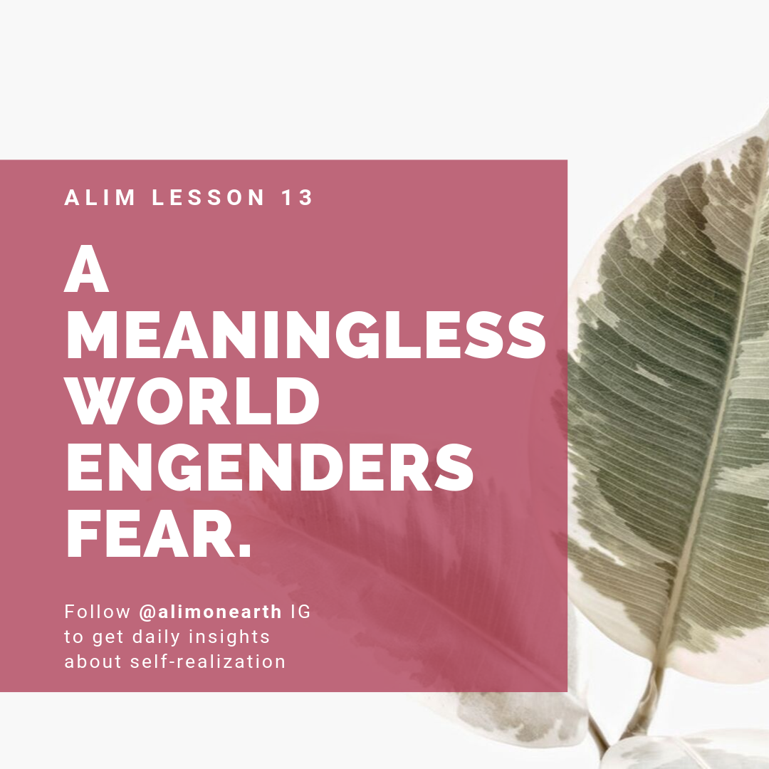 ALIM Lesson 13. A meaningless world engenders fear. | by ALIM: A Life ...