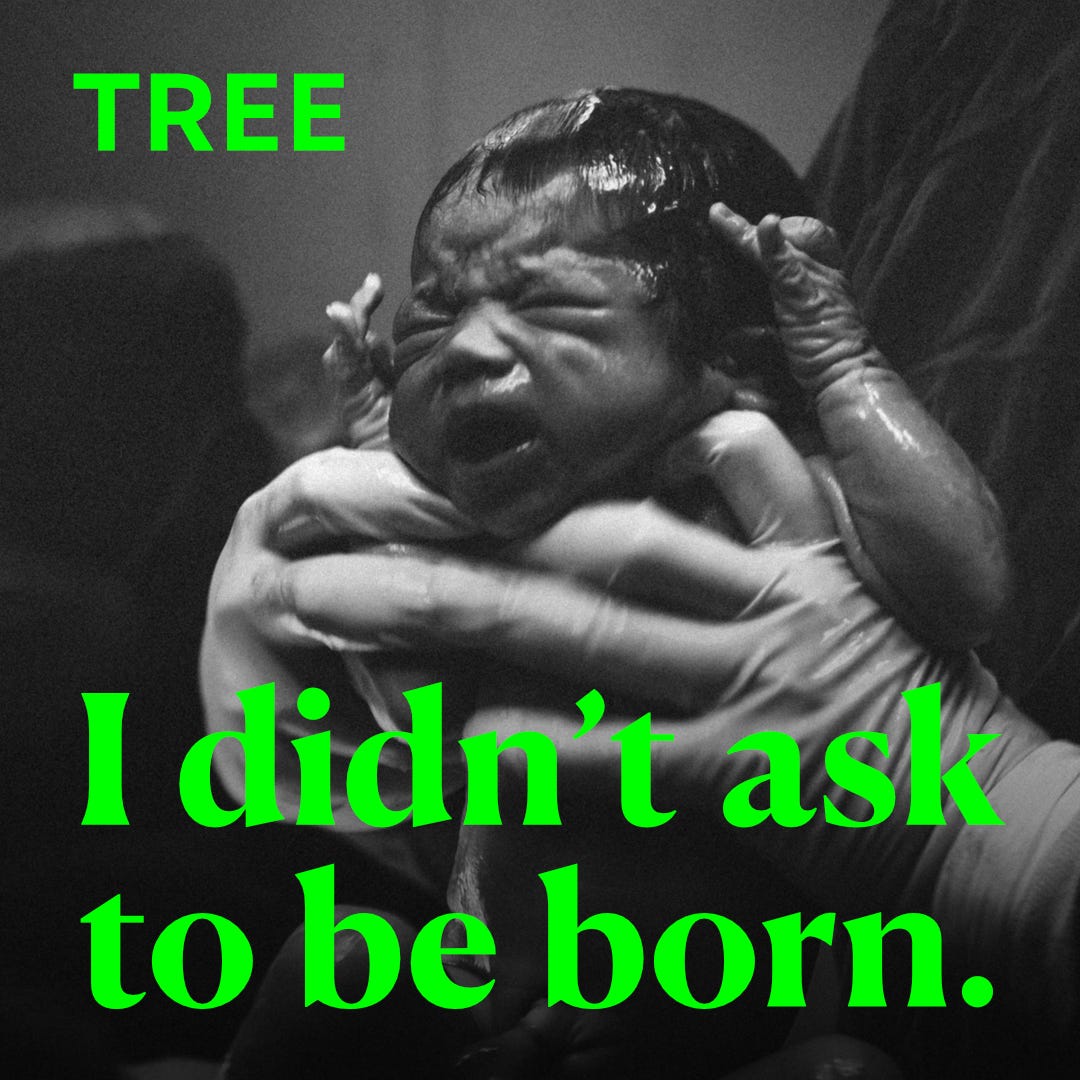 I Didn T Ask To Be Born Tree Branch Medium I Didn T Ask To Be Born Tree Branch Medium