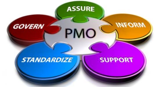 How To Create The Pmo Framework Processes Guidelines And Principles To