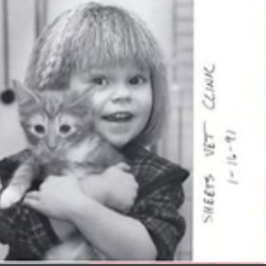 Appendix 2 Russian Interception By Dawnalderson Medium