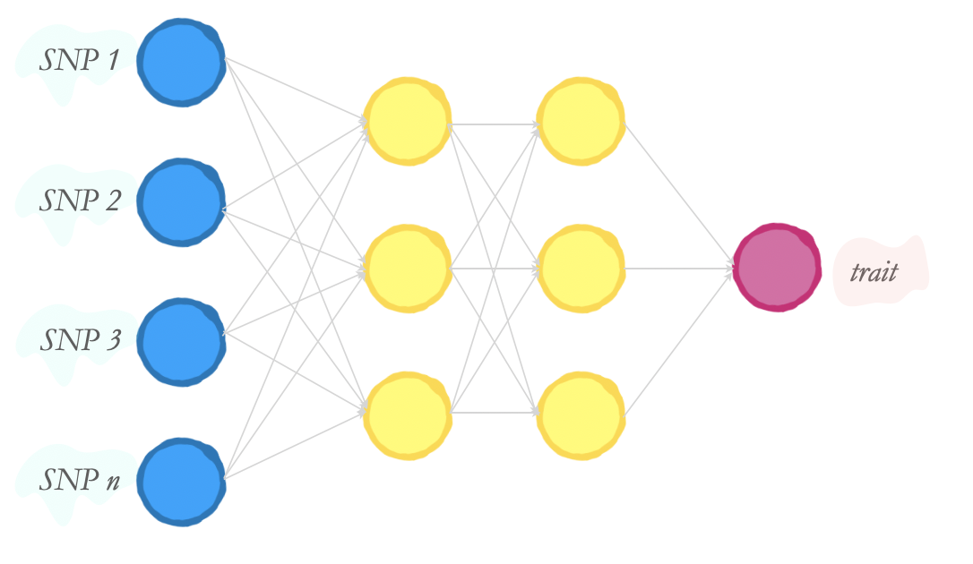 Graph Machine Learning in Genomic Prediction - KDnuggets