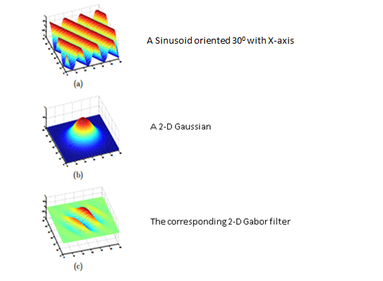 Eyes of Filter. The Gabor filter, named after Dennis… | by Anuj (Exploring Neurons) | Medium