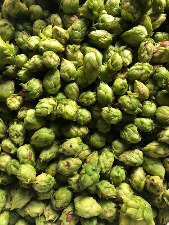 Apples and Ales: Farm Opens New Brewery | by Kerry Flynn | The ...