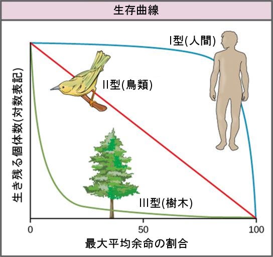 生物学 第2版 第45章 個体群と生物群集の生態学 Japanese Translation Of Biology 2e By Better Late Than Never Medium 生物学 第2版 第45章 個体群と生物群集の生態学 Japanese Translation Of Biology 2e By Better Late Than Never Medium