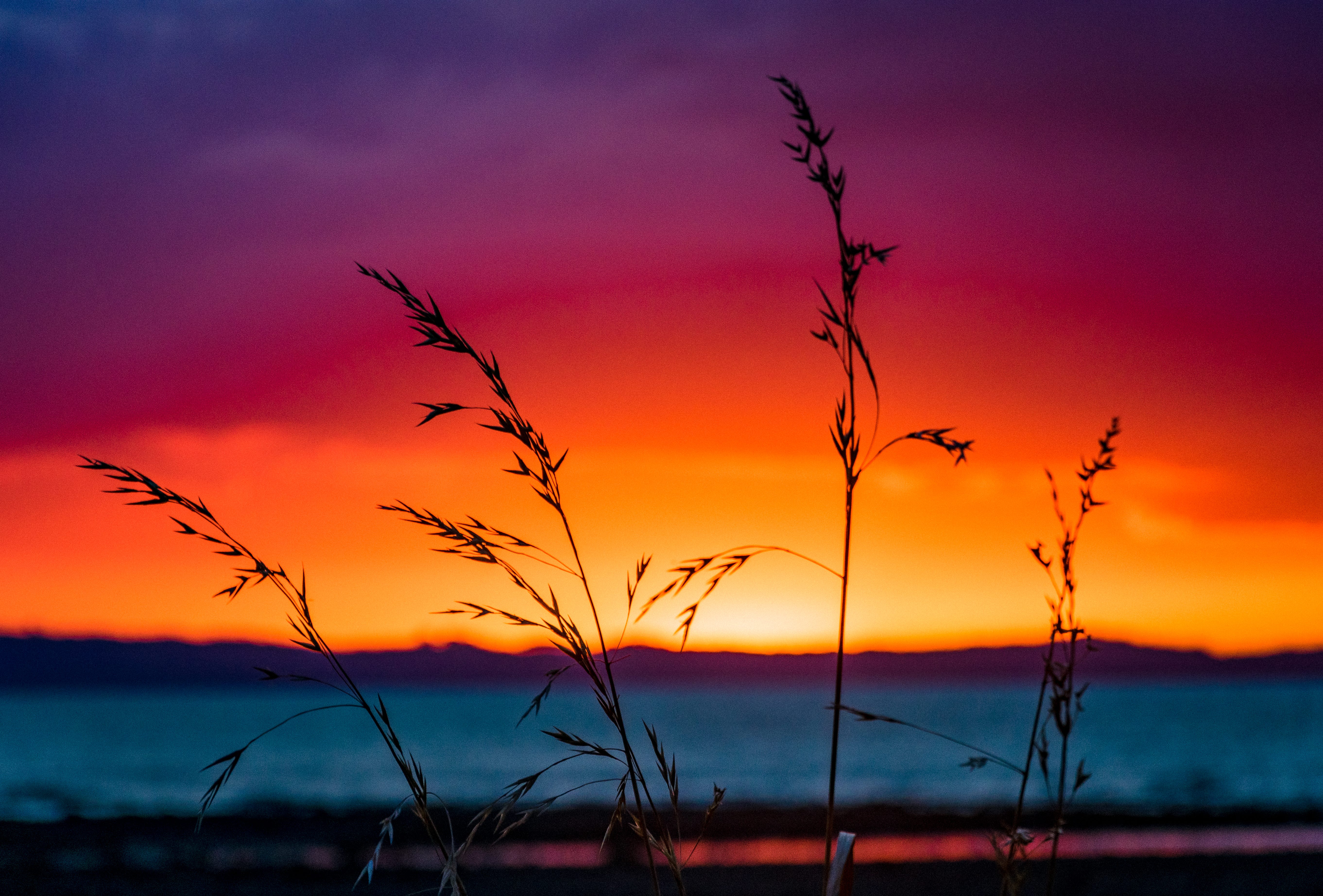 A New Dawn Has Risen Poem Dedicated To All Souls Who Have Lost By Ntathu Allen Illumination Medium