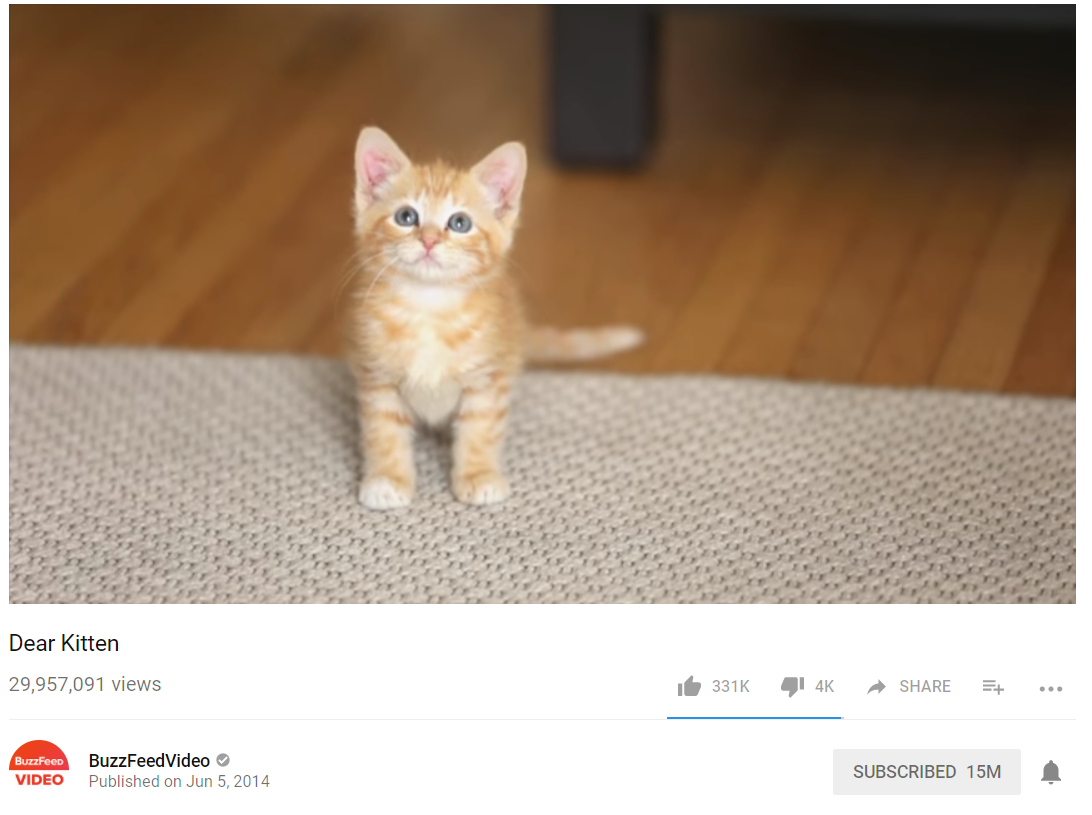 buzzfeed dear kitten