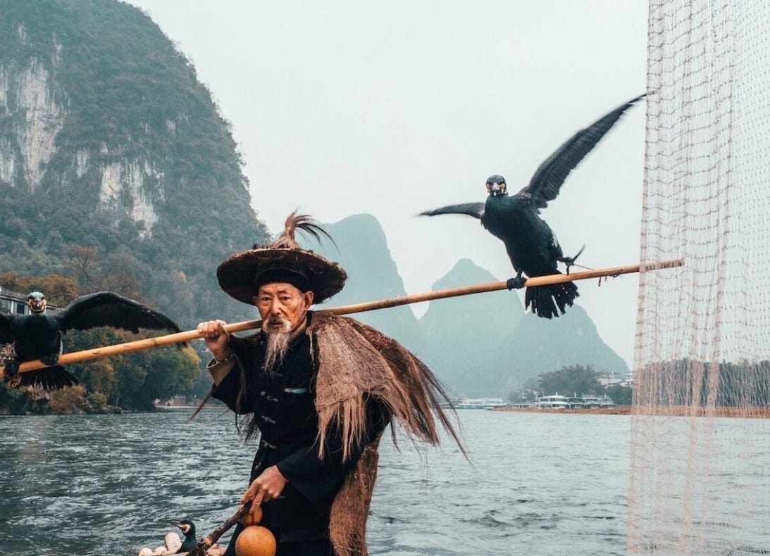 Kire A Japanese Aesthetic Teaches You How To Live A Happier Life By Minarella Mind Cafe Medium