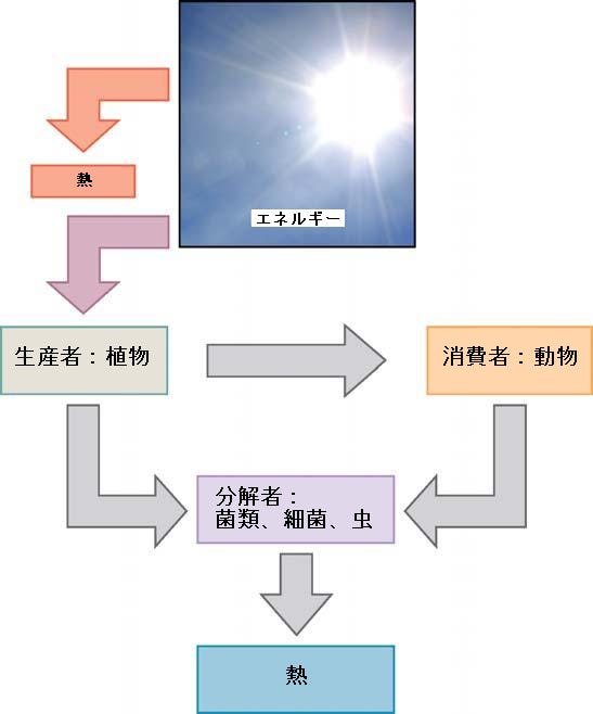 生物学 第2版 第6章 代謝 Japanese Translation Of Biology 2e By Better Late Than Never Medium 生物学 第2版 第6章 代謝 Japanese Translation Of Biology 2e By Better Late Than Never Medium